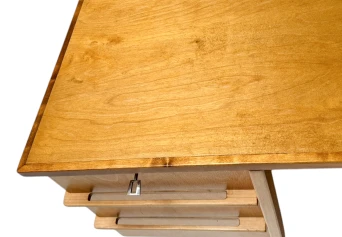 Mid-Century Modern EB04 Desk by Cees Braakman for Pastoe, 1950s